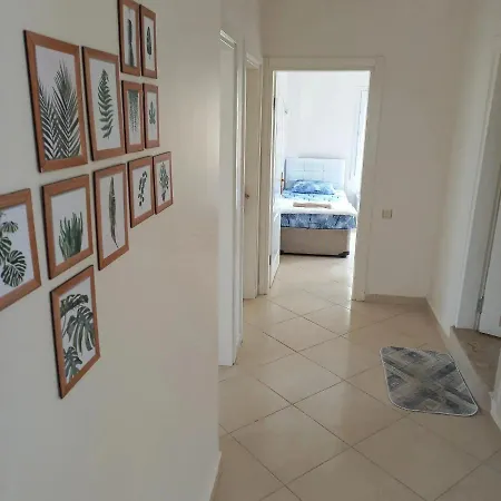 Ali Villa